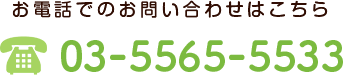 お電話でのお問い合わせはこちら　03-5565-5533